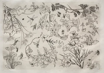 Service de table (service Rousseau) : Fleurs (n° 22)