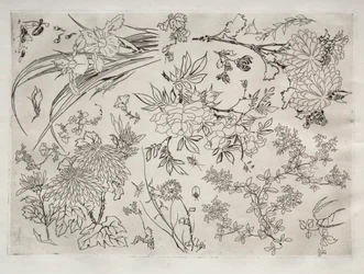 Service de table (service Rousseau) : Fleurs (n° 23)