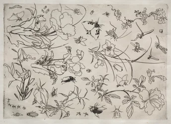 Service de table (service Rousseau) : Fleurs et insectes (n° 15)