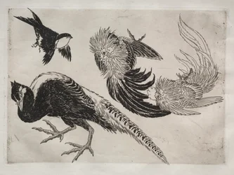 Service de table (service Rousseau) : Faisans et oiseau (n° 18)