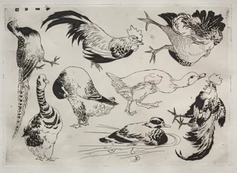 Service de table (service Rousseau) : Coqs, canards, etc. (n° 13)
