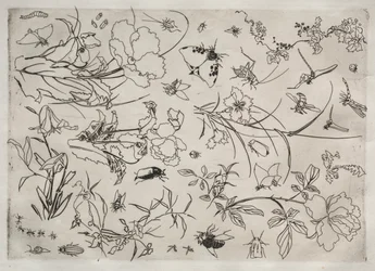 Service de table Rousseau : Fleurs et Insectes n° 15, 1866