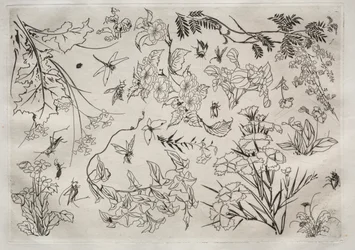 Service de table Rousseau : Fleurs n° 22, 1866
