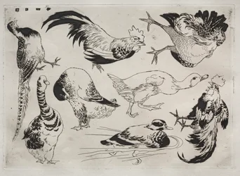 Service de table Rousseau : Coqs, canards, etc. no. 13, 1866