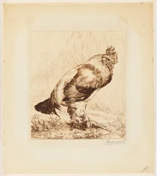 Le Vieux Coq