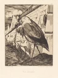 Les Cigognes