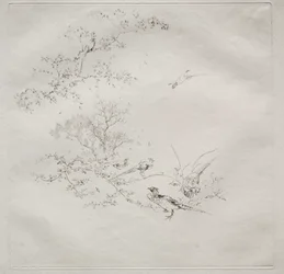 Service parisien Haviland : Brouillard no. 1