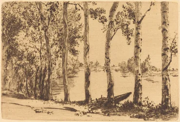 Peupliers le long de la Seine