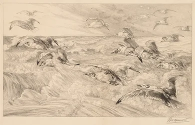 Seagulls (Les Mouettes)