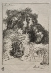 Le jardin de l