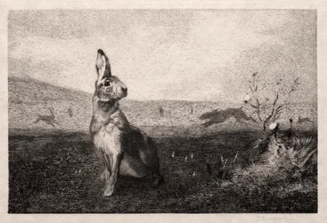 Le lièvre (d