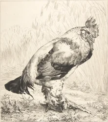 Le Vieux Coq