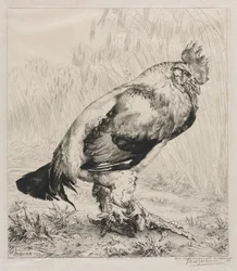 Le Vieux Coq, 1882
