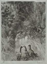 Les canards surpris