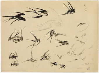 Les hirondelles