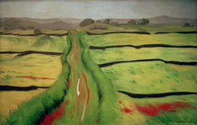 Chemin dans la lande