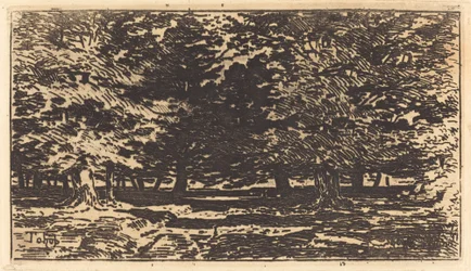 Forêt