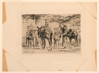Les Ânes du Midi