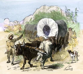 Histoire des colons et de la conquête de l