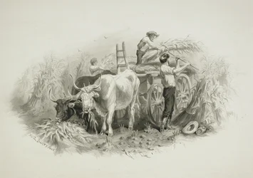 Scène de fenaison