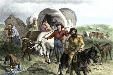 Histoire des colons de West Conquete : Pionniers américains. Voyages de plusieurs familles traversant les plaines des Etats-Unis dans des diligences tirées par des bœufs. Gravure colorée du 19e siècle.