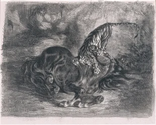 Cheval sauvage terrassé par un tigre