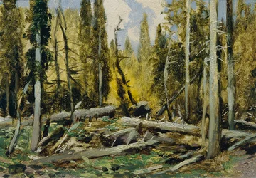 Forêt de Bohême (de la série 