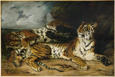 Jeune tigre jouant avec sa mere …