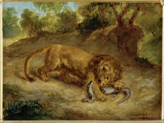 Lion et caïman ...