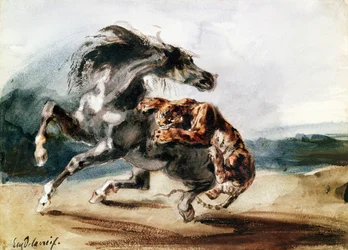Tigre attaquant un cheval sauvage