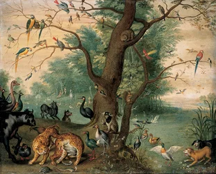 Animaux et oiseaux dans le jardin d