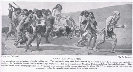 Migration d