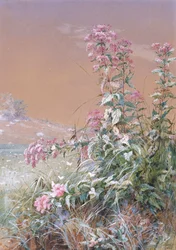 Sans titre, 1876