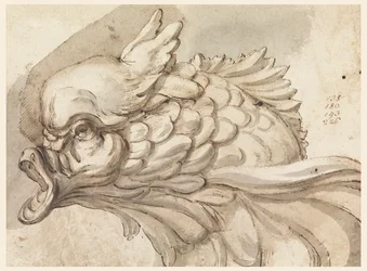 Tête de dauphin
