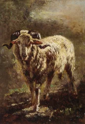 Chèvre