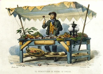 Petits métiers de la ville de Naples : le vendeur de figues de Barbarie. Gravure d