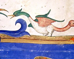 Missel 515, fol. 72v : Oiseau fantastique à la queue dotée d