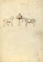 Deux chevaux