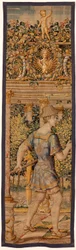 Galería de emparrados TA67 2