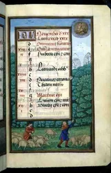Ms 1058-1975 f.11r Garder des porcs et battre des chênes, page de calendrier illuminée pour novembre, d