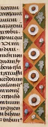 Ms. 1058-1975, f.16r : (détail)