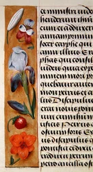 Détail d