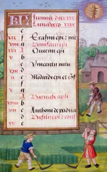 Fauchage de l