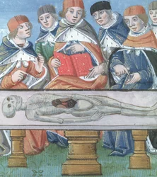 Dissection, de De Medina Fen I. II, par Avicenne