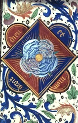Rose blanche de la maison d
