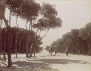 Promenade des Pins à Beyrouth, vers 1870