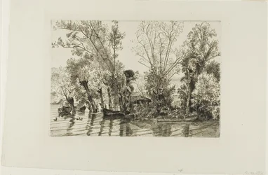 Les saules de Mottiaux