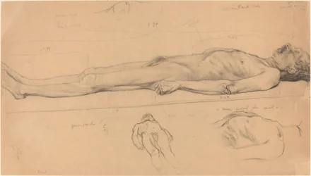 Étude de cadavre pour Le Christ mort