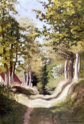 Sous-bois