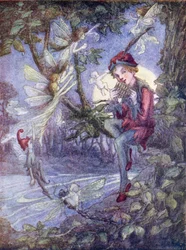 Peter Pan